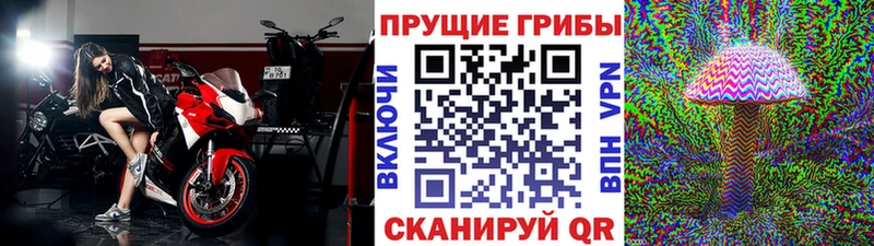 гидра ONION  Кизляр  Галлюциногенные грибы GOLDEN TEACHER  наркотики 